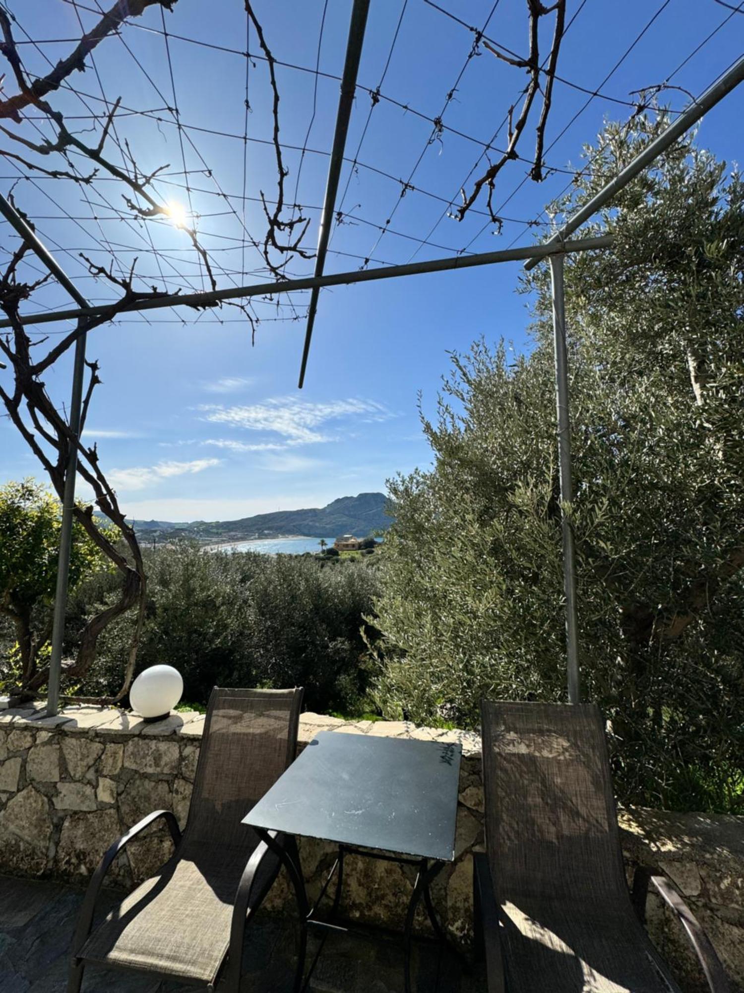 דירות פלאקיאס Olive Grove מראה חיצוני תמונה