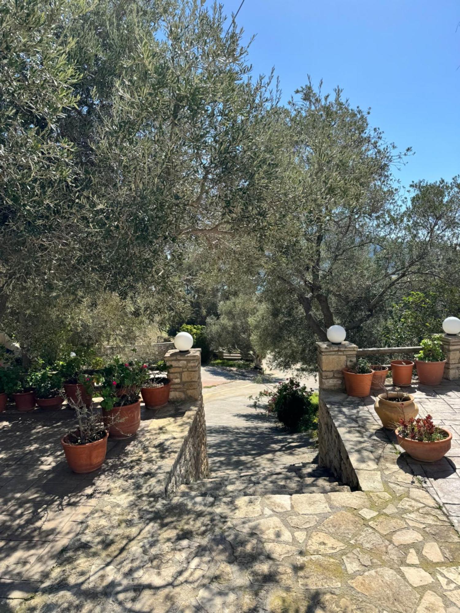 דירות פלאקיאס Olive Grove מראה חיצוני תמונה