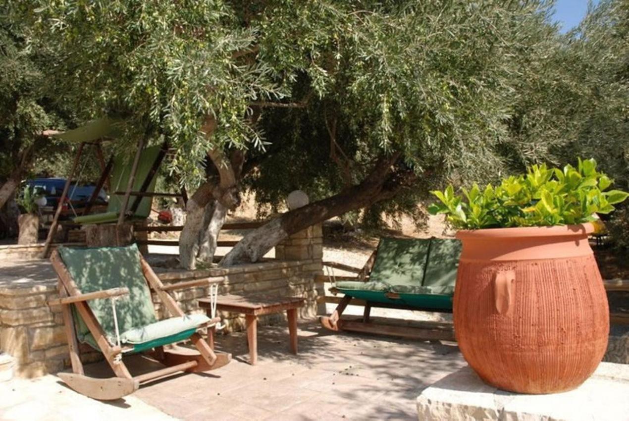 דירות פלאקיאס Olive Grove מראה חיצוני תמונה