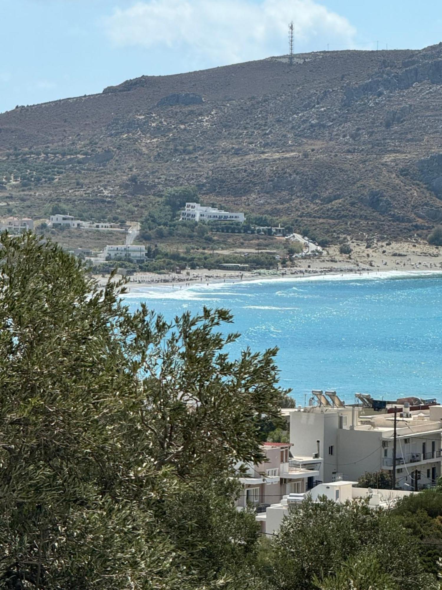 דירות פלאקיאס Olive Grove מראה חיצוני תמונה